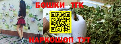 СК Гатчина