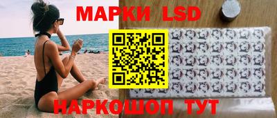 СК Гатчина