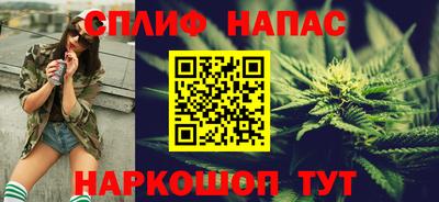 СК Гатчина