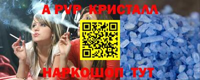 СК Гатчина