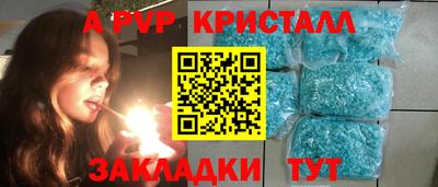 СК Гатчина