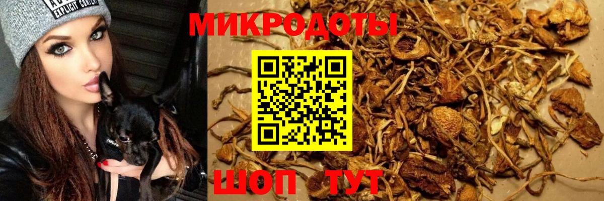 Псилоцибиновые грибы ЛСД Кольчугино