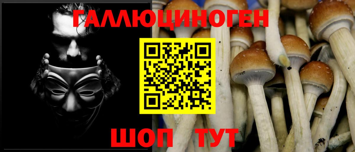 Псилоцибиновые грибы Cubensis  Вход с VPN  Кольчугино 